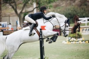 showjumping