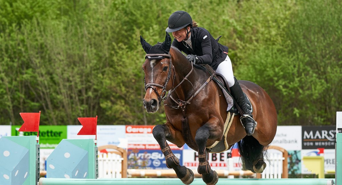 horse-jumping-4416634_1920