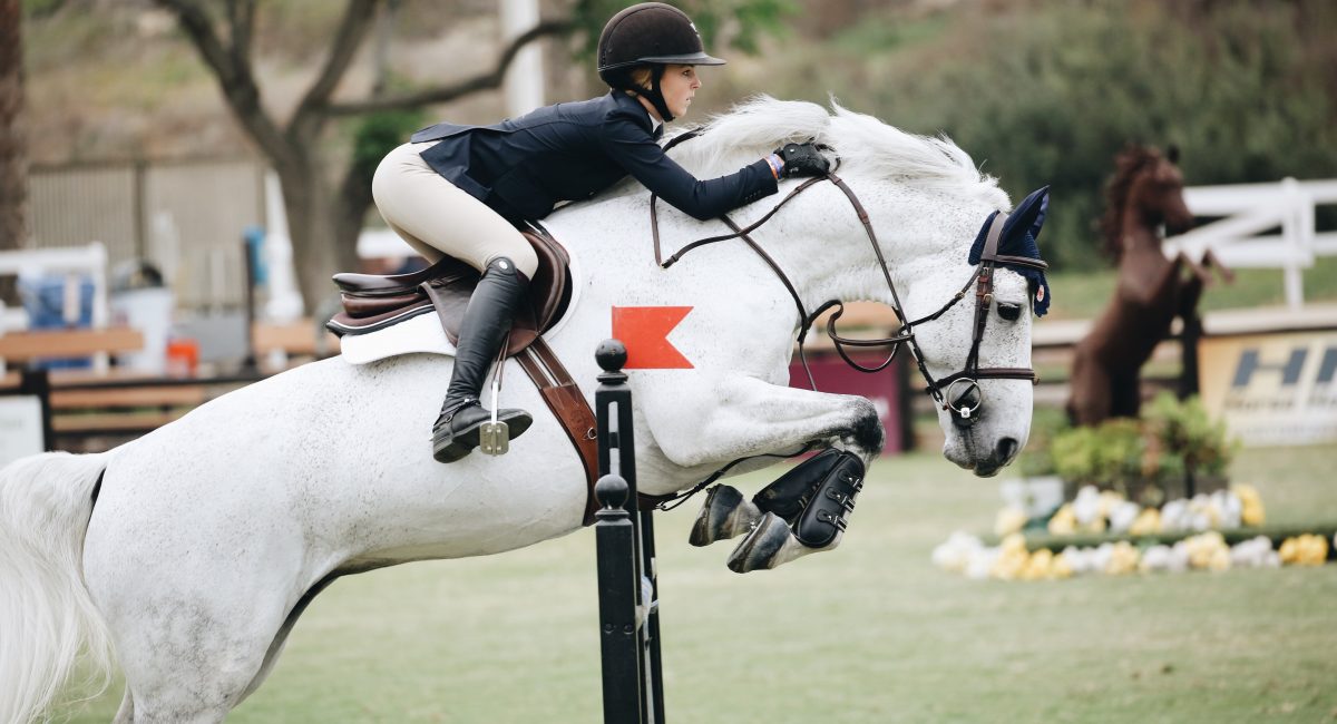 showjumping